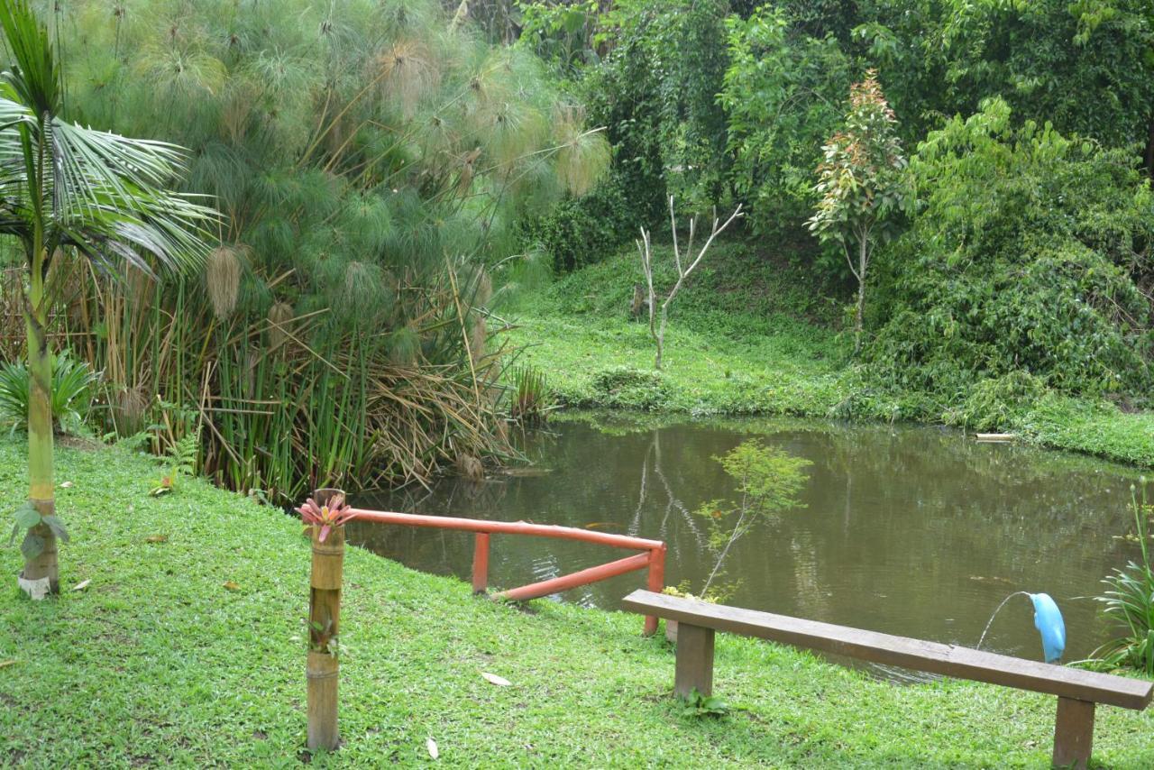 Sitio E Pousada Recanto Dos Ipes Терезополис Экстерьер фото